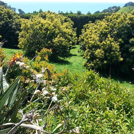 Ridgehaven Accommodation Opotiki Exteriör bild