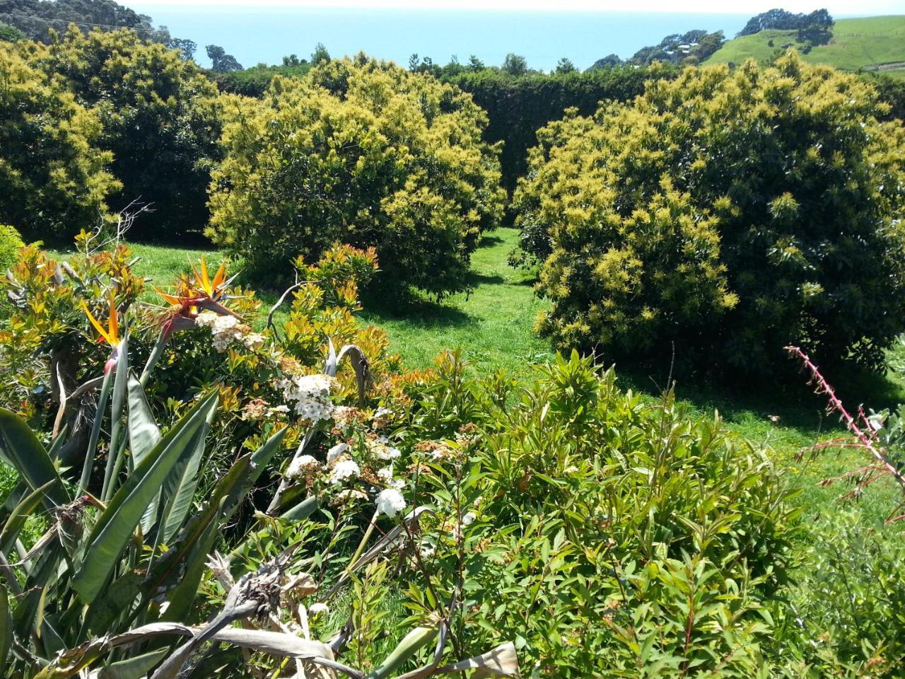 Ridgehaven Accommodation Opotiki Exteriör bild