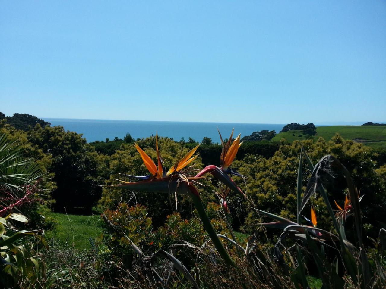 Ridgehaven Accommodation Opotiki Exteriör bild